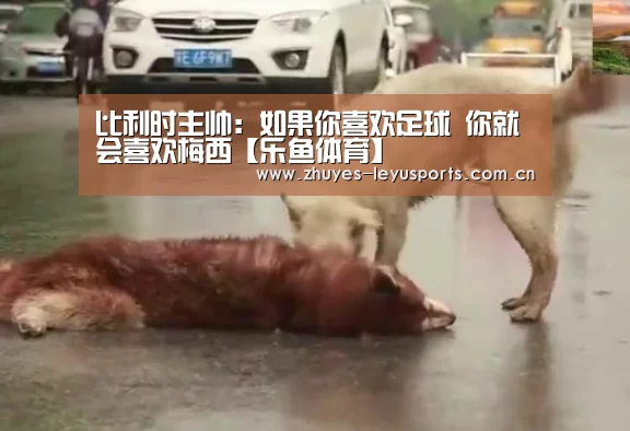 比利时主帅:如果你喜欢足球 你就会喜欢梅西【乐鱼体育】(图1) 乐鱼网站