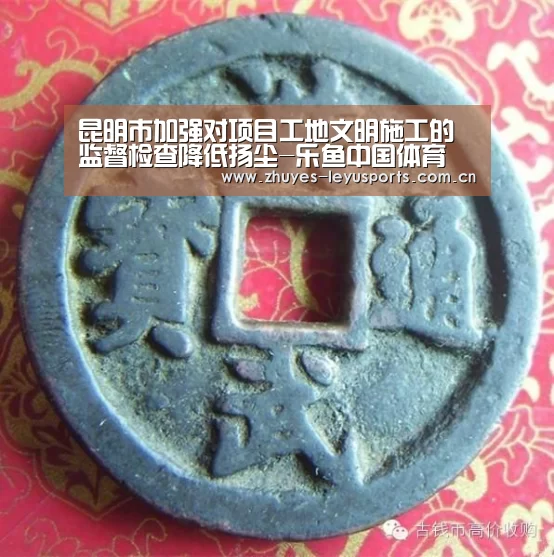 昆明市加强对项目工地文明施工的监督检查降低扬尘-乐鱼中国体育(图3) 乐鱼体育