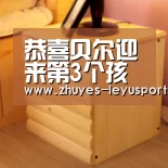 乐鱼体育