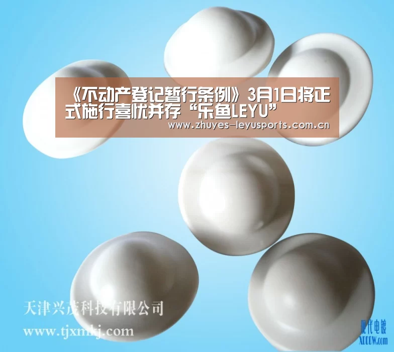 《不动产登记暂行条例》3月1日将正式施行喜忧并存“乐鱼LEYU”(图1) 乐鱼体育