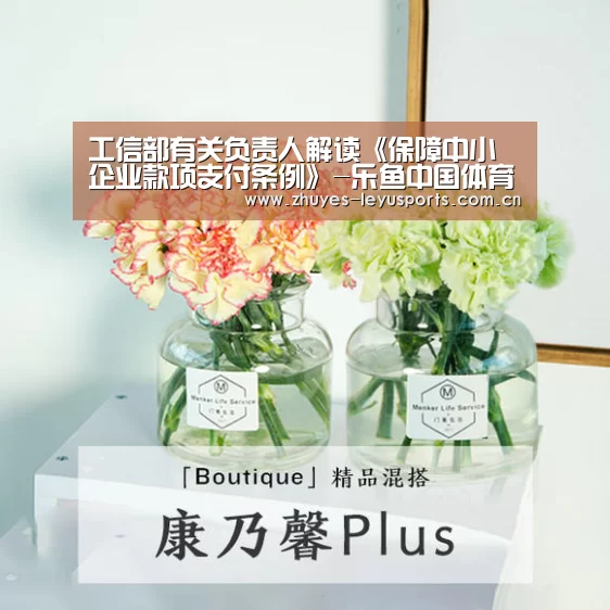 乐鱼LEYU