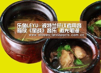 乐鱼LEYU-波特兰抗议者用音箱放《星战》音乐 激光笔漫天晃(图3) 乐鱼体育