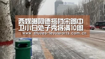 西媒曝阿德搭档宋踢中卫小白处子秀将满10周年|乐鱼体育(图3) 乐鱼网站