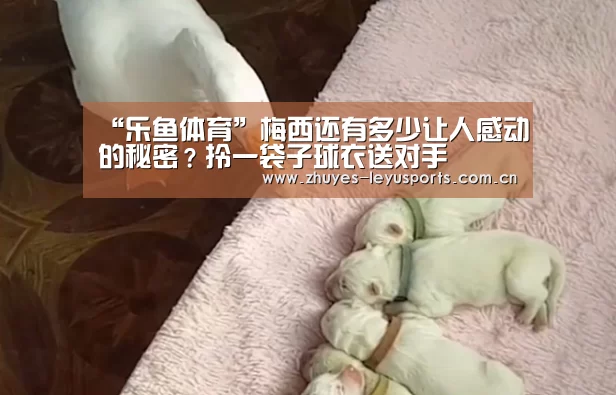 乐鱼网站