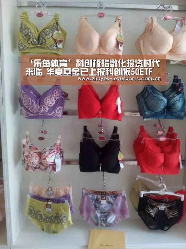 乐鱼LEYU