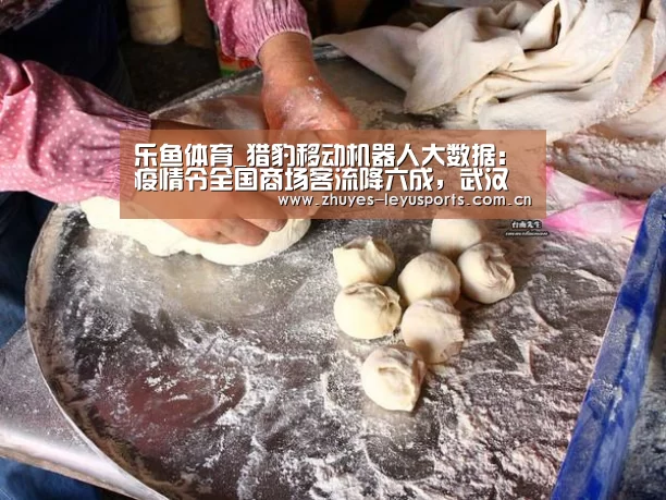 乐鱼体育_猎豹移动机器人大数据:疫情令全国商场客流降六成,武汉下降94%(图3) 乐鱼网站